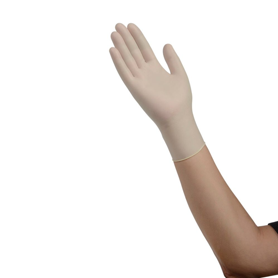 Stretch Vinyl Exam Gloves Powder-Free, Size Large Non-Sterile